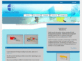 codal-synto.com