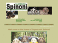 onlyspinoni.com