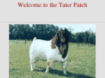 taterpatchboers.com