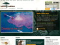 tiger911.com