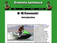 erminio.com