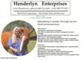 henderlynenterprises.com