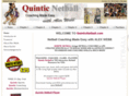 quinticnetball.co.uk