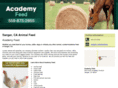 academyfeed.com