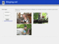 bieging.net