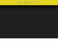 ginotti.com
