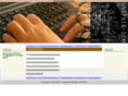 onepair-seo.info