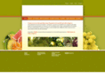 prodiva3s.com