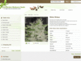 cannabus.com