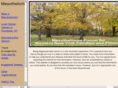 meso-westernny.com