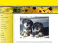 pcpups.com