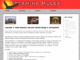 steamingmules.com