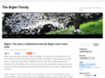 thebiglerfamily.com