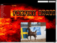 foxfirearabians.com