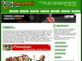 fulham-fc.com