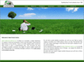 newforest-websites.co.uk