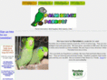 palmbeachparrots.com