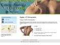 caseyfamilychiropractic.com