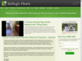 seilingfloors.com