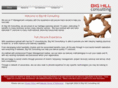 bighillconsulting.com