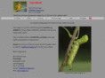 danimage.com