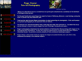 rogercissner.com