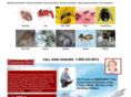 bronxexterminator.com