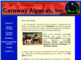 carawayalpaca.com