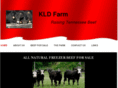 kldfarmtennbeef.com