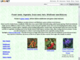 nickys.org