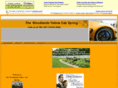 thewoodlandsyellowcab.com