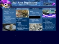 bayareaduplication.com