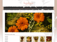 honahana.com