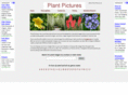 plant-pictures.net