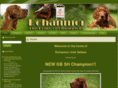 rohanmoririshsetters.com