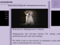 alphagroomdoggrooming.com