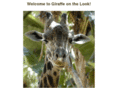 giraffeonthelook.com