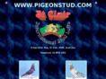 pigeonstud.com