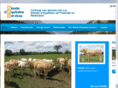 basblondservices.nl