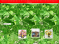 beusflowers.net