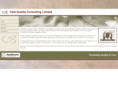 carequalityconsulting.com