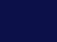 criticalcourier.com