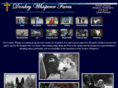 donkeywhisperer.com