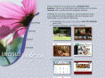 internetimage.ca