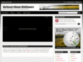 northeastillinoiswildflowers.com