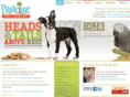 paradisepetcentre.com