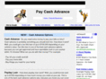 paycashadvance.com