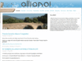 allianoi.net