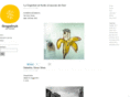 grapefruitartbooks.com