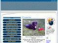 paain.org